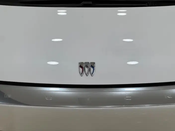 Century 2023 Model 2.0T VI seat Yunshi Edition – фото 8