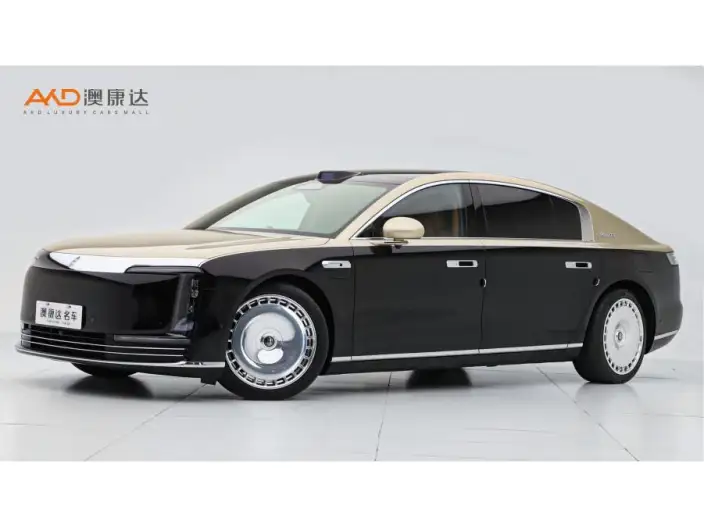 Zunjie S800 2025 Model Extended Range Starlight Exclusive Edition 5 seat – фото 1