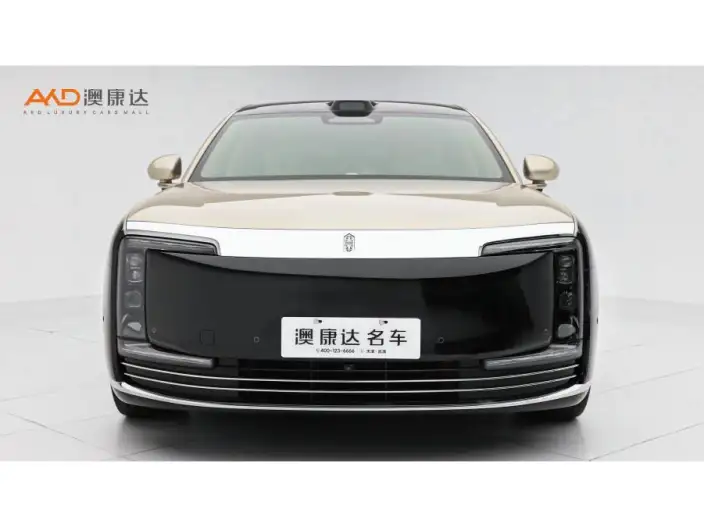 Zunjie S800 2025 Model Extended Range Starlight Exclusive Edition 5 seat – фото 2