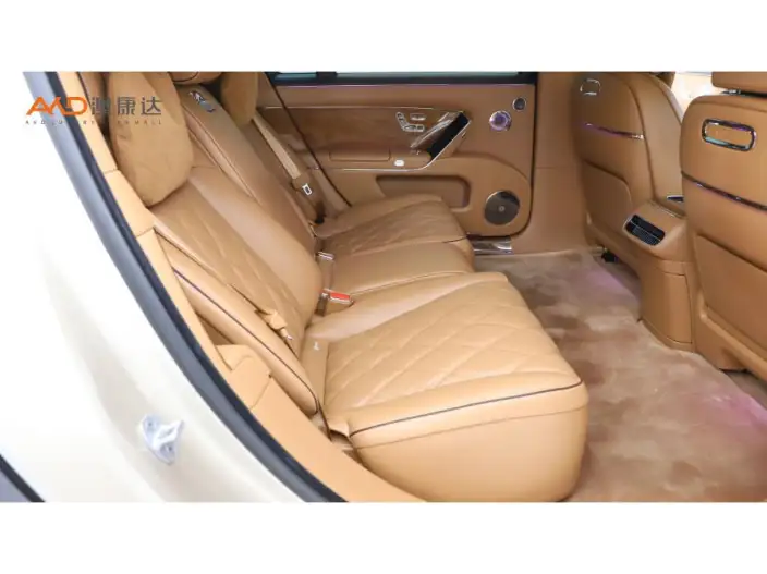 Zunjie S800 2025 Model Extended Range Starlight Exclusive Edition 5 seat – фото 5