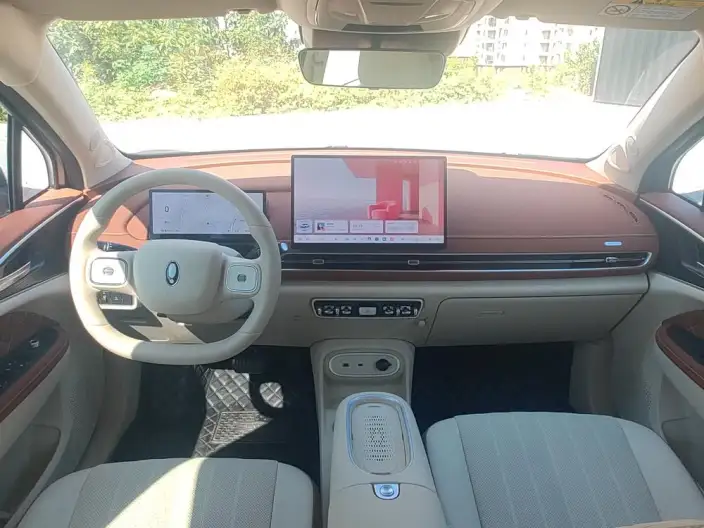 ORA Good Cat 2025 Model 430km Zunrong Model – фото 9