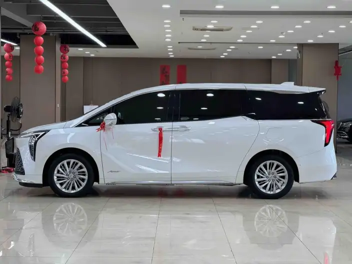 Century 2023 Model 2.0T VI seat Yunshi Edition