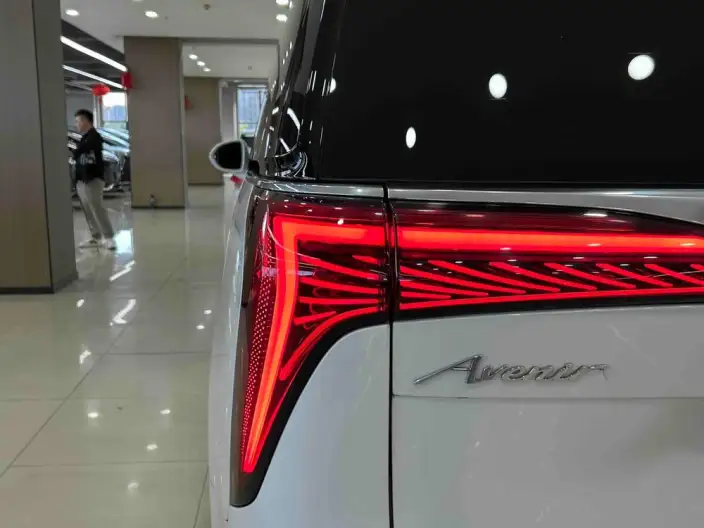 Century 2023 Model 2.0T VI seat Yunshi Edition – фото 6