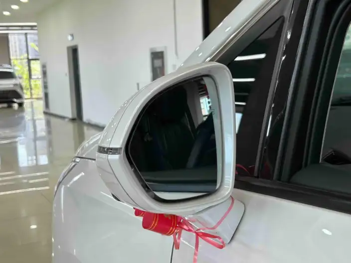 Century 2023 Model 2.0T VI seat Yunshi Edition – фото 9