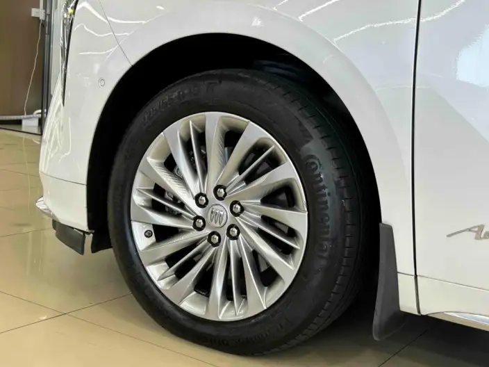 Century 2023 Model 2.0T VI seat Yunshi Edition – фото 10