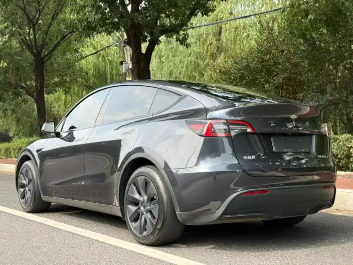 Model Y 2024 Model Rear-wheel drive version – фото 5
