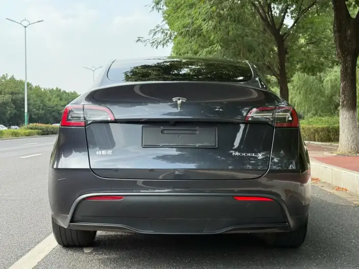 Model Y 2024 Model Rear-wheel drive version – фото 6