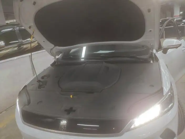 Qin Plus EV 2025 Model Smart Driving Edition 420KM Leading Model – фото 5