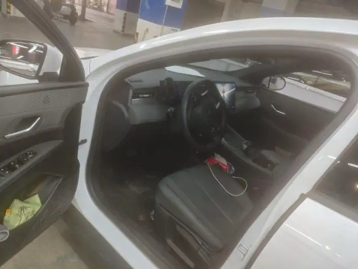 Qin Plus EV 2025 Model Smart Driving Edition 420KM Leading Model – фото 8