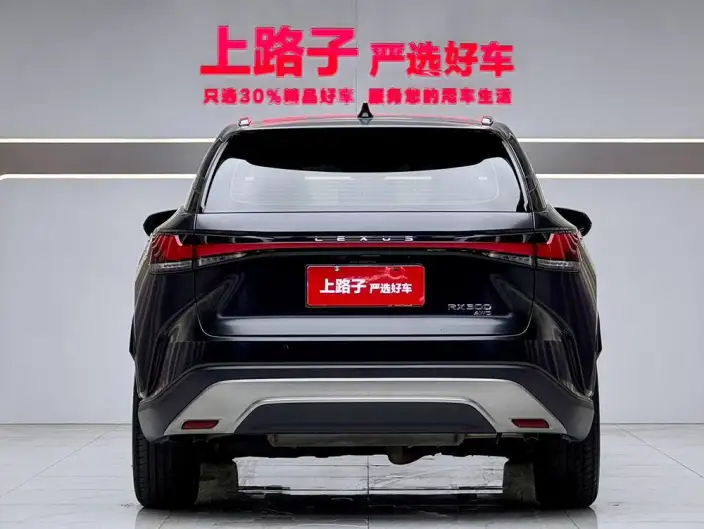 Lexus RX 2026 Model 300 4WD Black Edition – фото 5