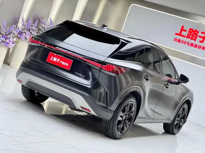 Lexus RX 2026 Model 300 4WD Black Edition – фото 6