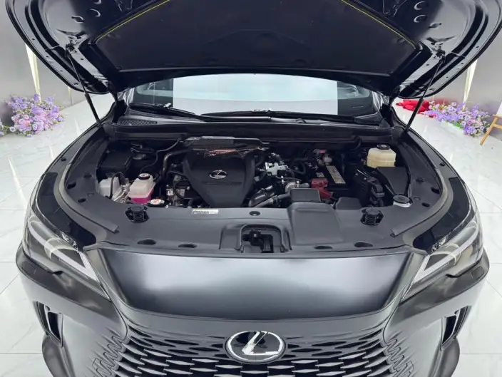 Lexus RX 2026 Model 300 4WD Black Edition – фото 7