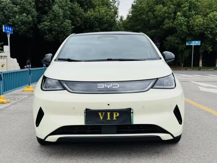 BYD Dolphin 2025 Model Smart Driving Edition 410KM Fashion Edition