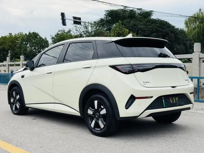 BYD Dolphin 2025 Model Smart Driving Edition 410KM Fashion Edition – фото 5