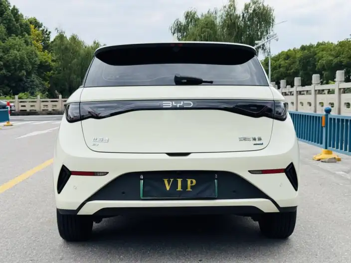 BYD Dolphin 2025 Model Smart Driving Edition 410KM Fashion Edition – фото 6
