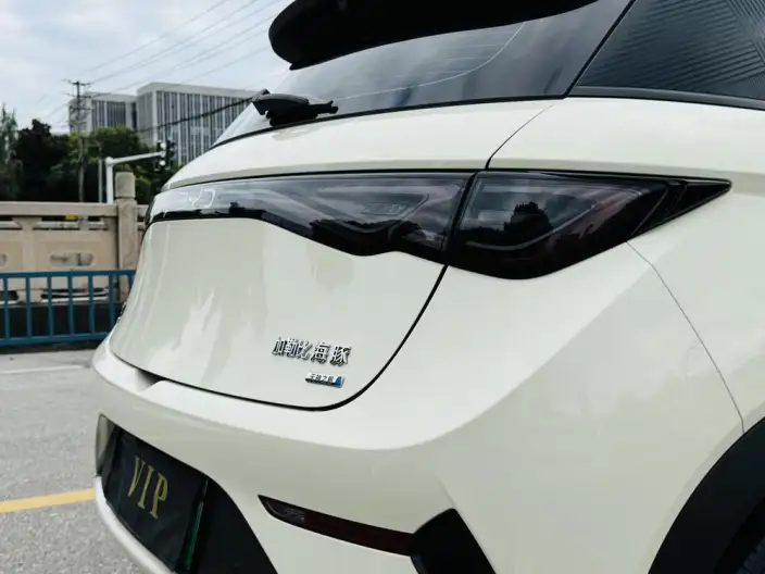 BYD Dolphin 2025 Model Smart Driving Edition 410KM Fashion Edition – фото 8