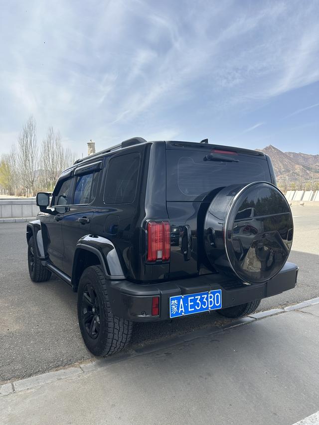 Tank 300 2021 Urban 2.0T Very Stylish – фото 9