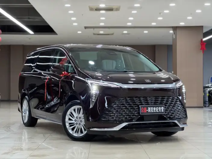 Century 2025 Model 2.0T VII seat Yunshi Edition