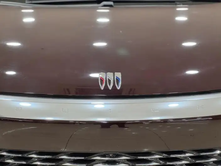 Century 2025 Model 2.0T VII seat Yunshi Edition – фото 7