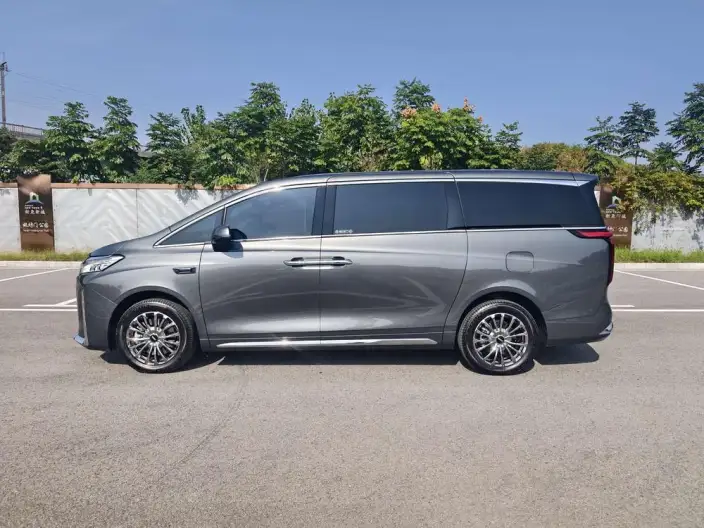 Wey Gaoshan P HEV 2025 Model 4WD Wey Gaoshan 8