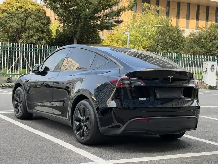Model Y 2023 Model Rear-wheel drive version – фото 5