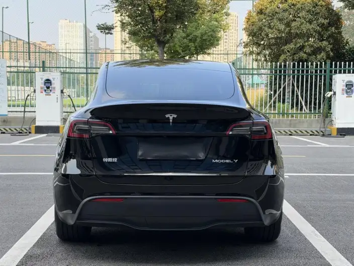 Model Y 2023 Model Rear-wheel drive version – фото 6