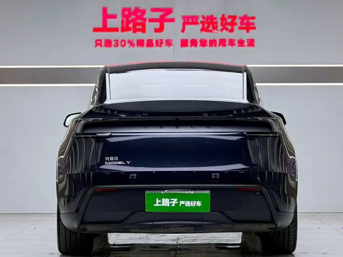 Model Y 2025 Model Rear-wheel drive version – фото 5