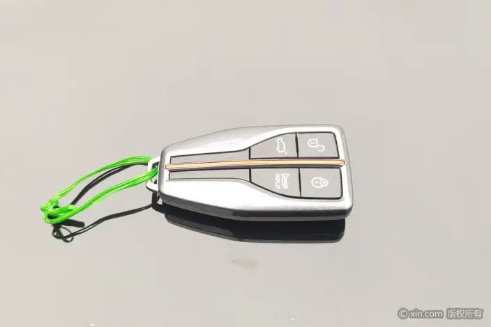 Hongqi HS5 2022 Model Facelift 2.0T Smart Flag Enjoy Edition – фото 6