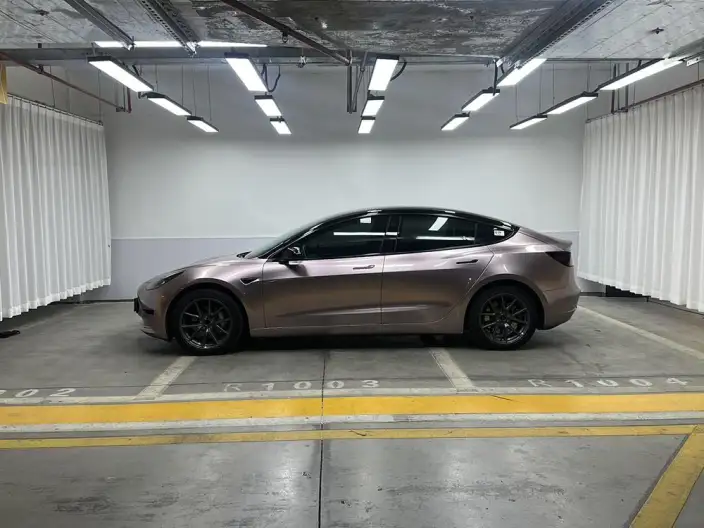 Model 3 2022 Model Rear-wheel drive version