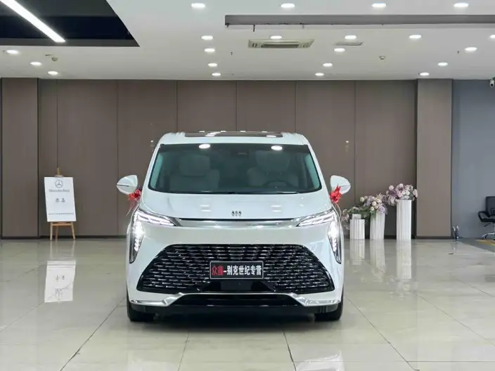 Century 2025 Model 2.0T VI seat Yunshi Edition