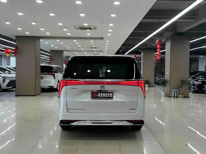 Century 2025 Model 2.0T VI seat Yunshi Edition – фото 5