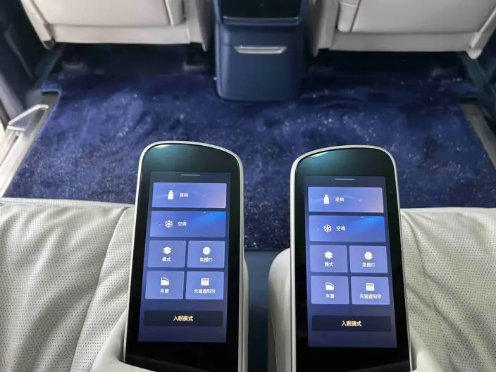 Century 2025 Model 2.0T VI seat Yunshi Edition – фото 6