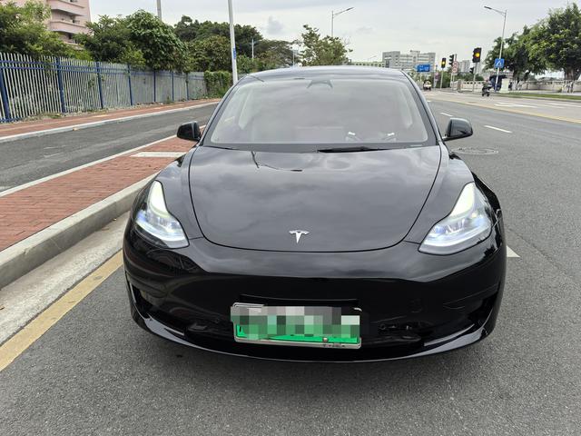 Tesla Model 3 2022 RWD – фото 2