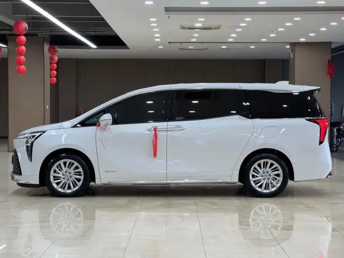 Century 2023 Model 2.0T VII seat Yunshi Edition