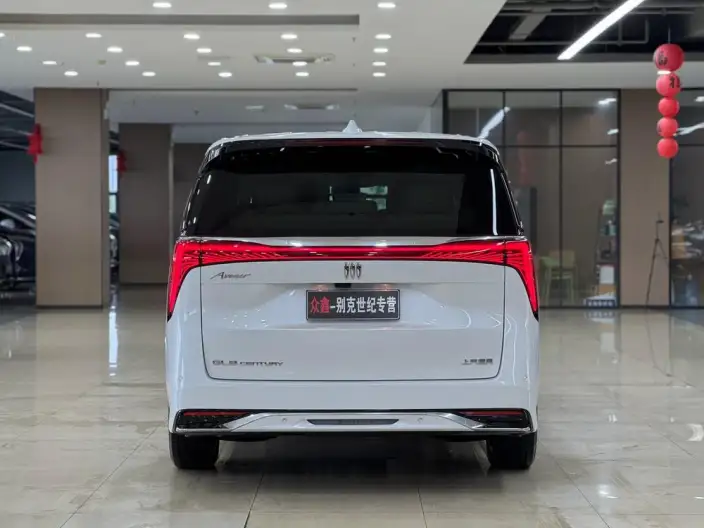 Century 2023 Model 2.0T VII seat Yunshi Edition – фото 5