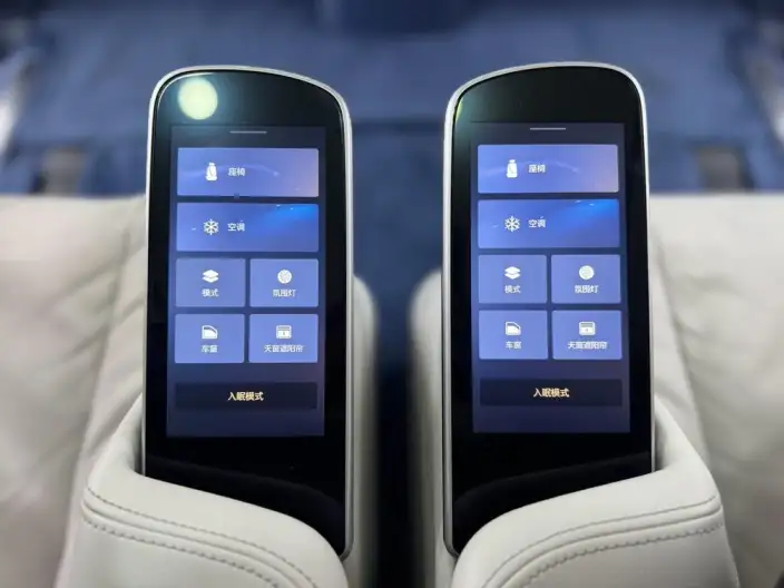 Century 2023 Model 2.0T VII seat Yunshi Edition – фото 6