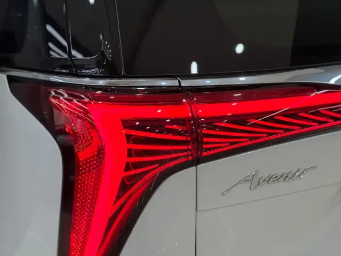 Century 2023 Model 2.0T VII seat Yunshi Edition – фото 7