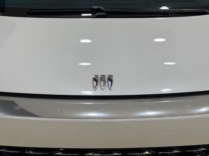 Century 2023 Model 2.0T VII seat Yunshi Edition – фото 10