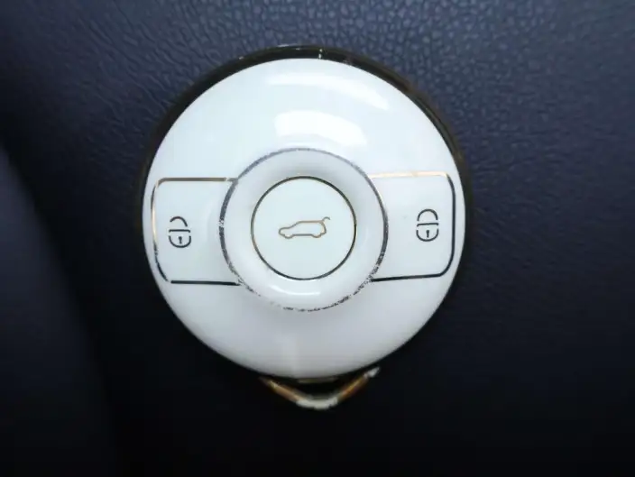 smart #1 2022 Model Pro+