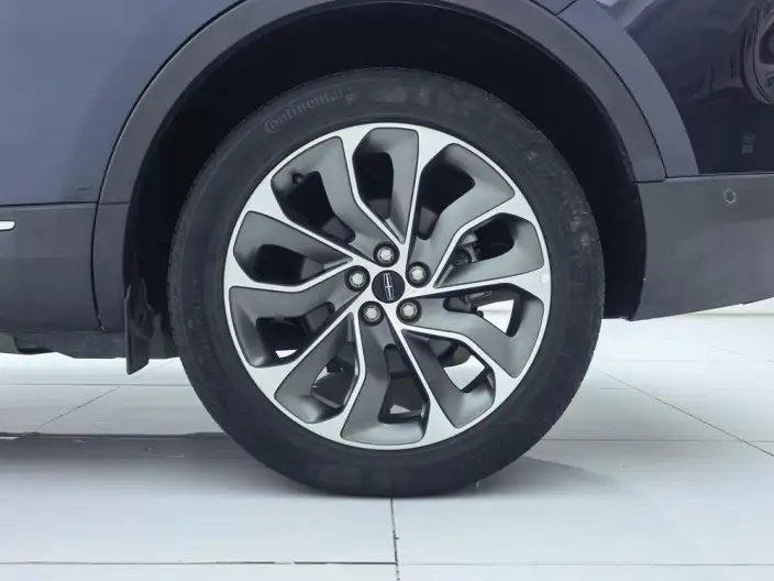 Nautilus 2021 Model 2.0T 4WD Zunya Edition – фото 7