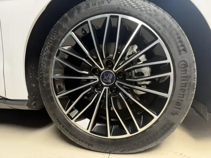 BYD Han EV 2020 Model Ultra-long Endurance Luxury Model – фото 6