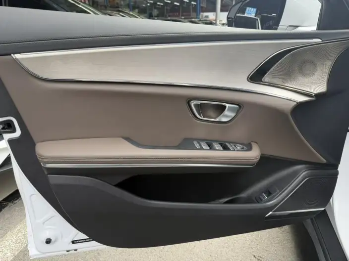 BYD Han EV 2020 Model Ultra-long Endurance Luxury Model – фото 10
