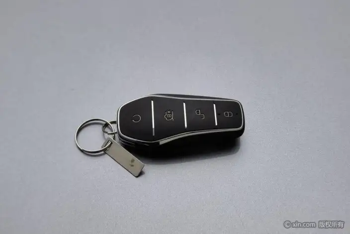 BYD Qin PLUS DM 2021 Model DM-i 120KM Flagship Model – фото 6