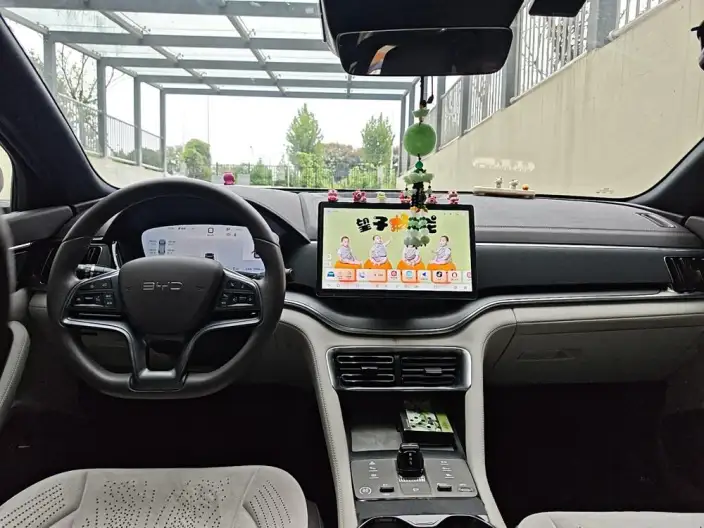 BYD Song PLUS DM 2025 Model DM-i 112KM Noble Model – фото 5