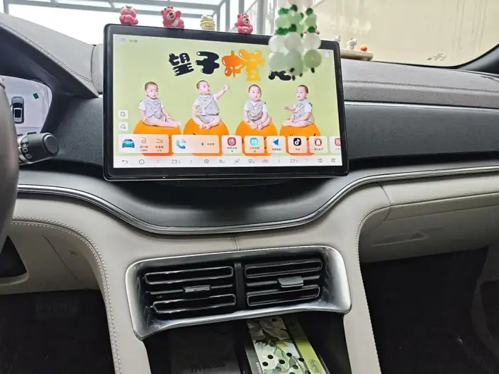 BYD Song PLUS DM 2025 Model DM-i 112KM Noble Model – фото 8