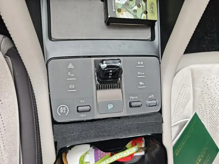 BYD Song PLUS DM 2025 Model DM-i 112KM Noble Model – фото 9