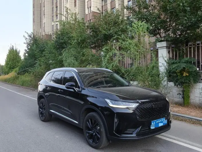 Haval H6 2021 Model Third generation 2.0T Automatic 2WD Max Edition