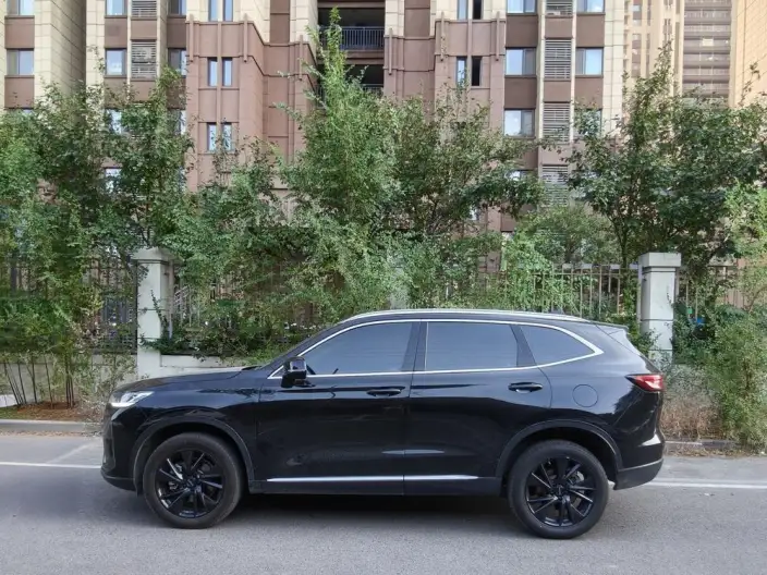 Haval H6 2021 Model Third generation 2.0T Automatic 2WD Max Edition
