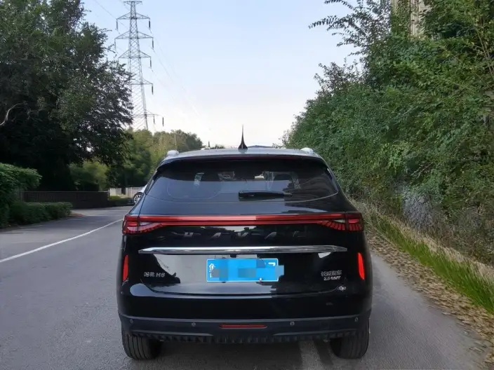 Haval H6 2021 Model Third generation 2.0T Automatic 2WD Max Edition – фото 6