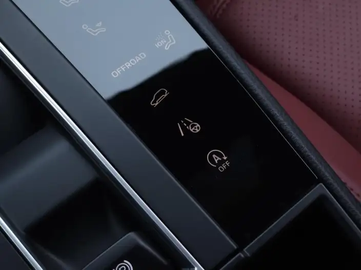 Macan 2025 Model Macan 2.0T Dream Edition – фото 10